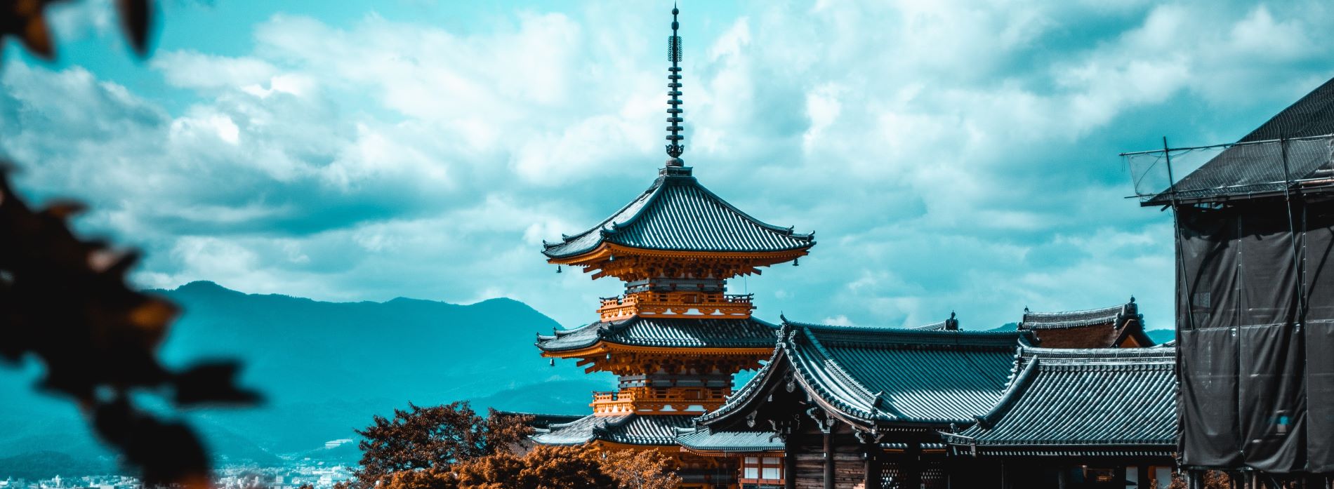 Japan | Group A